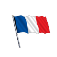 Frenchflag.png