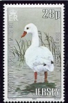 Stamp1984n.jpg