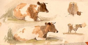 LeC-cows4.jpg