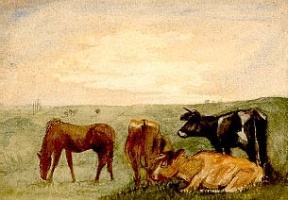 LeC-horses and cows.jpg