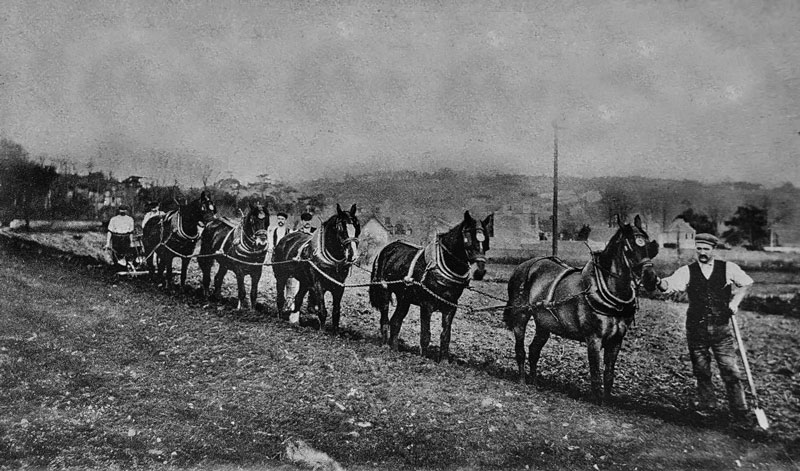 File:Ploughing-c1900.jpg