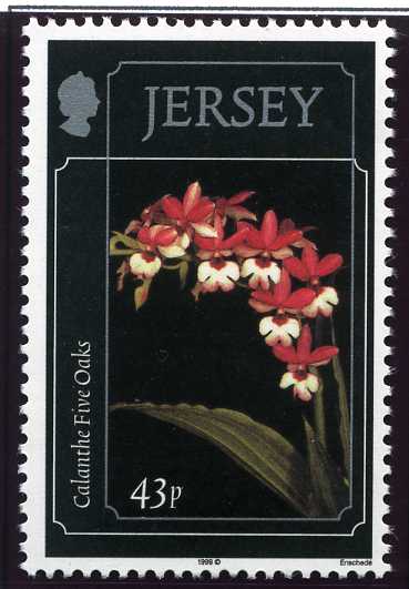 File:Stamp1999ae.jpg
