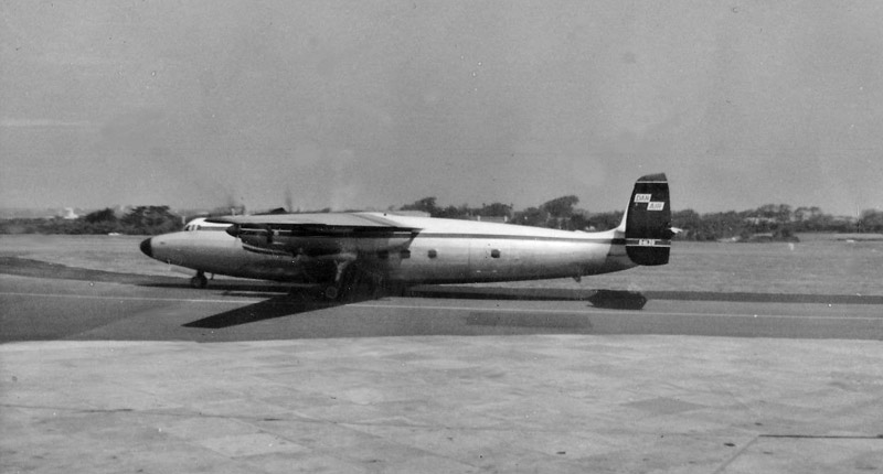 File:Sue15DanAirAmbassador.jpg