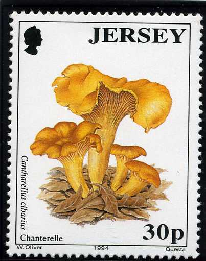 File:Stamp1994e.jpg