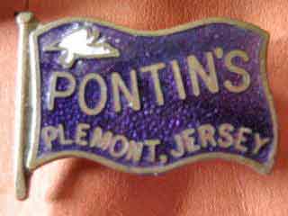 File:PontinsBadge1.jpg