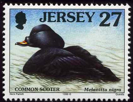File:Stamp1999ai.jpg