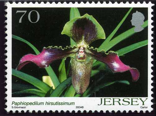 File:Stamp2004ag.jpg