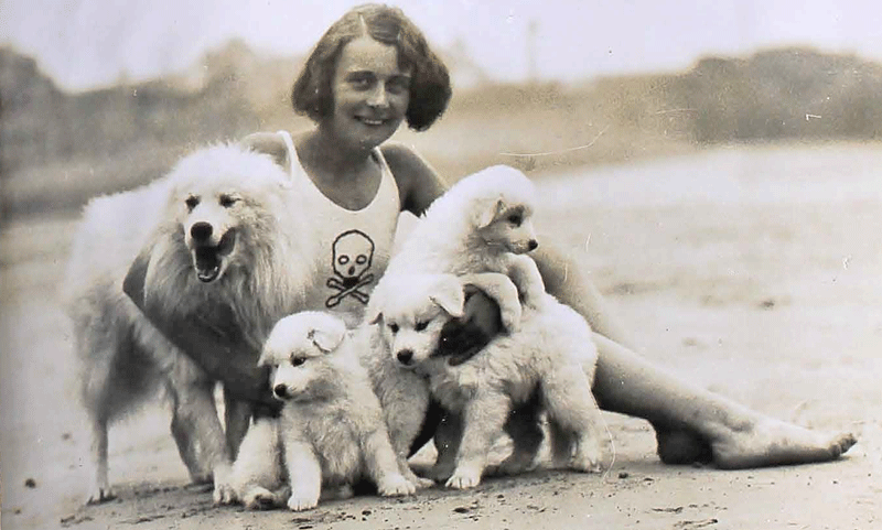 File:H25JSCLabeyAlbum1928GirlDogs.png