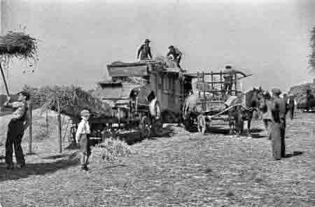 File:Threshing36.jpg