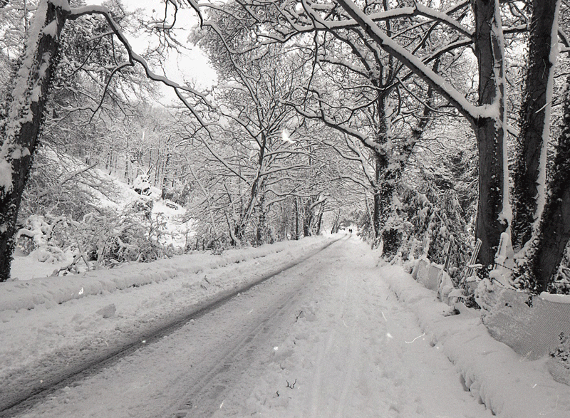 File:J24Snow1979d.png