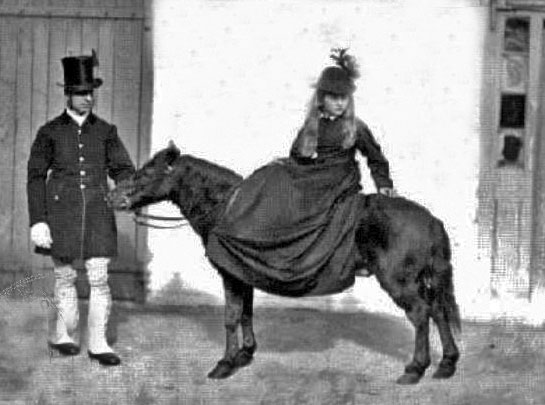 File:Lib15BaudSideSaddle.jpg