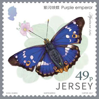 File:Stamp2017bd.jpg