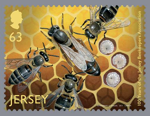 File:Stamp2017bp.jpg
