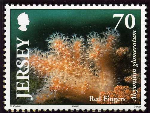 File:Stamp2004ar.jpg