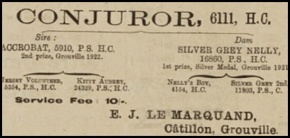 File:S24Chronique1924LeMarquandBull.png