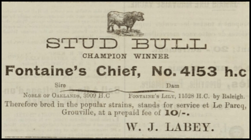 File:S24Chronique1910BullLabey.png