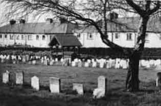 File:AnimalCemetery5.jpg