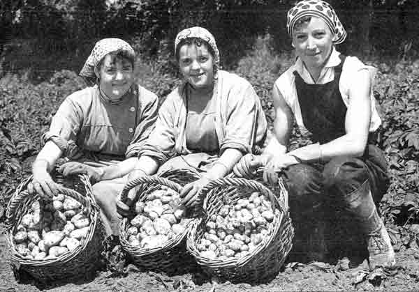 File:BretonGirlsPotatoes1935.jpg
