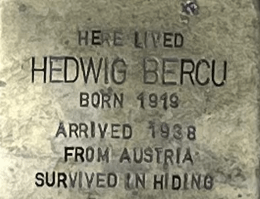 File:H25BercuPlaque.png