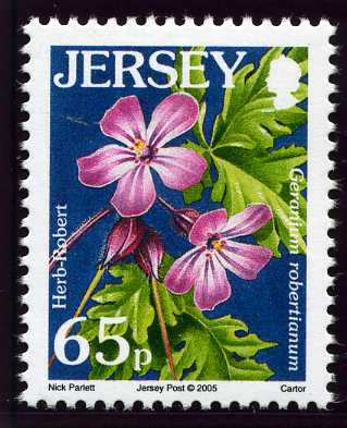 File:Stamp2005ai.jpg