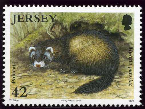 File:Stamp2007q.jpg
