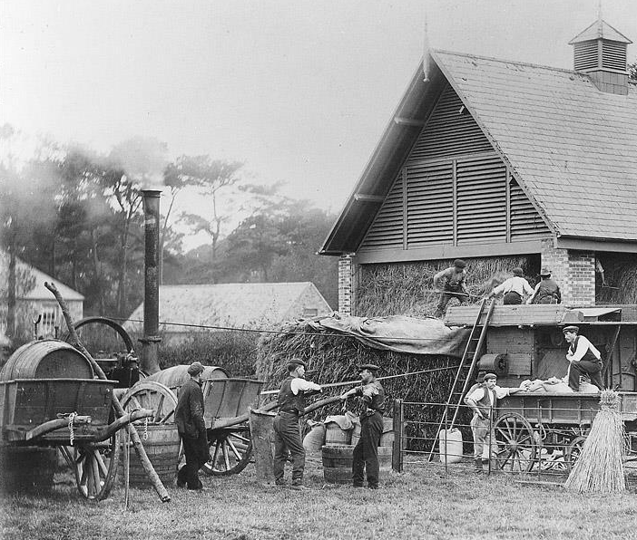 File:S24Threshing.png