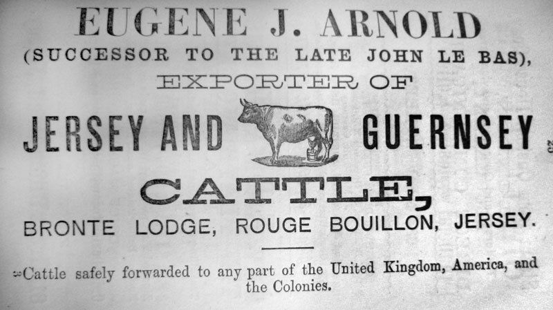 File:JC16AdArnoldCattleExports1880.jpg