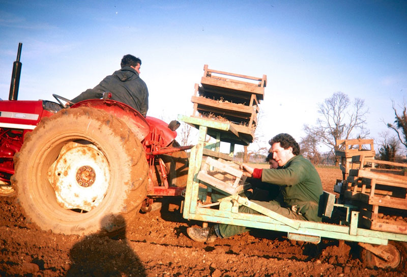File:J22Planting1987MauriceRichardson.jpg