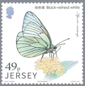 File:Stamp2017ba.jpg