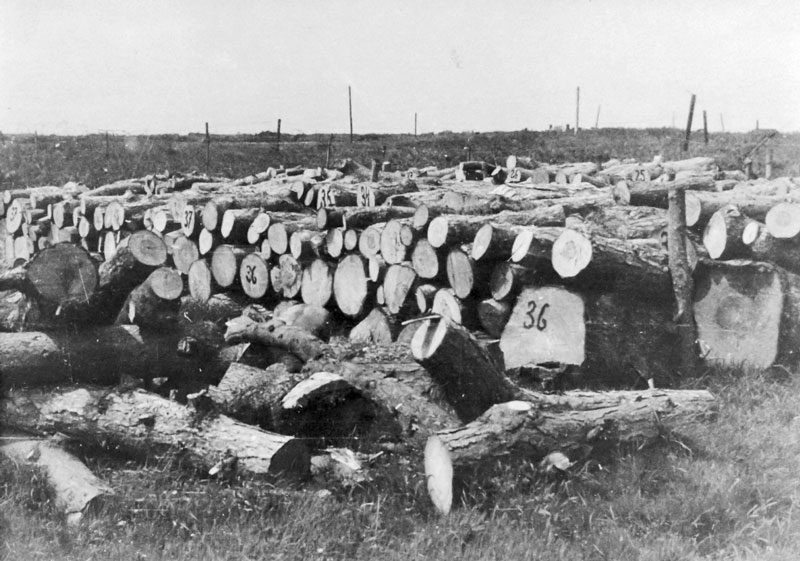 File:J23OccupationGermanFirewoodStocks.jpg
