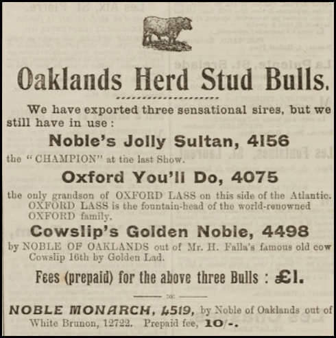 File:S24Chronique1910BullsOaklands.png