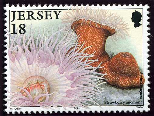 File:Stamp1994aa.jpg