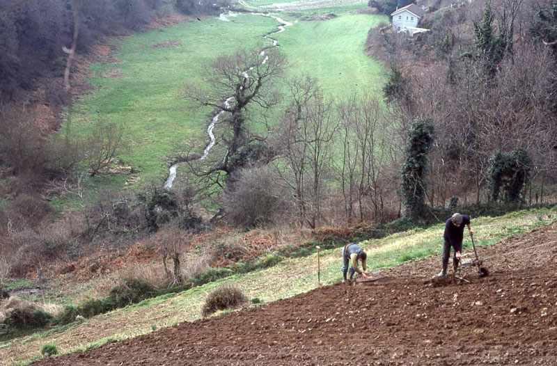 File:A20PloughingCotilQueen'sValley.jpg