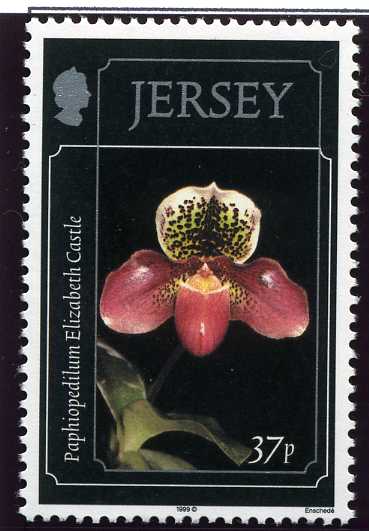 File:Stamp1999ad.jpg