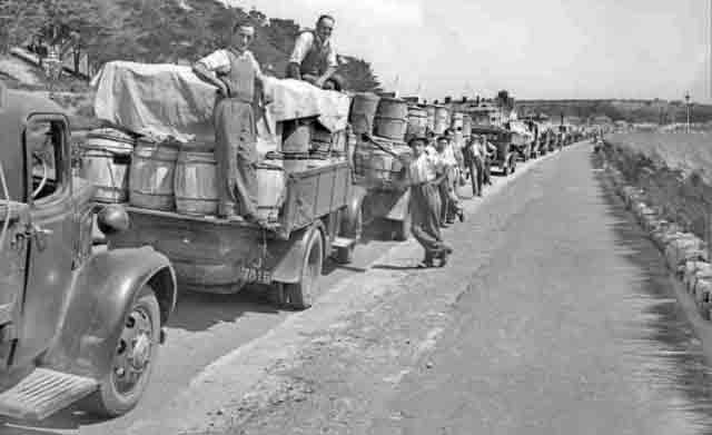 File:Potatolorryqueue1952.jpg