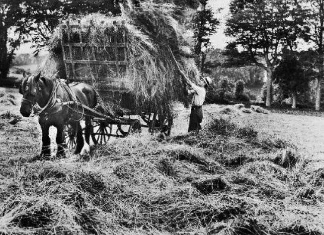 File:J16HayMaking1935StL.jpg