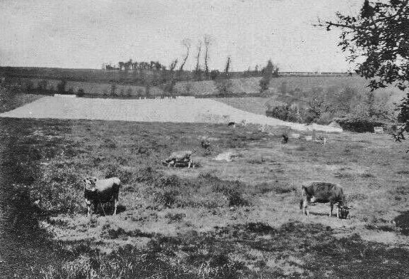 File:E20JerseyFarm1925.jpg