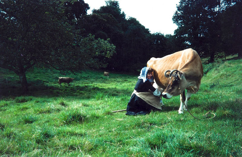 File:J22MilkingBonneNuit1978MauriceRichardson.jpg