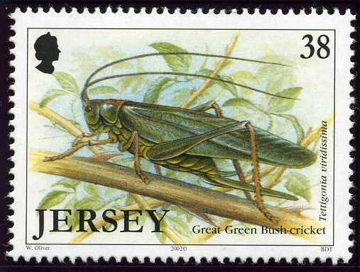 File:Stamp2002ag.jpg