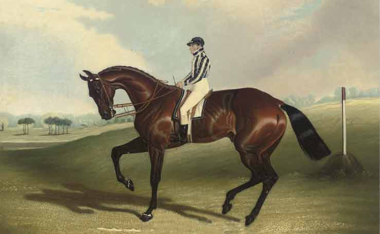 File:LordJerseyHorse1845.jpg