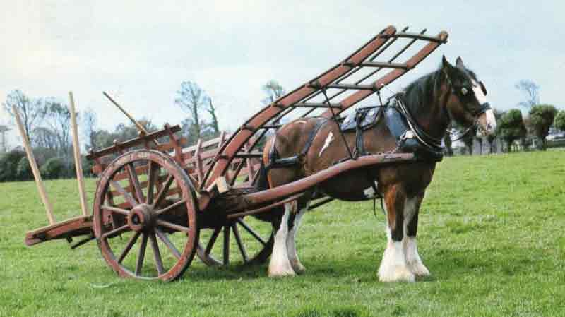 File:HayCart.jpg