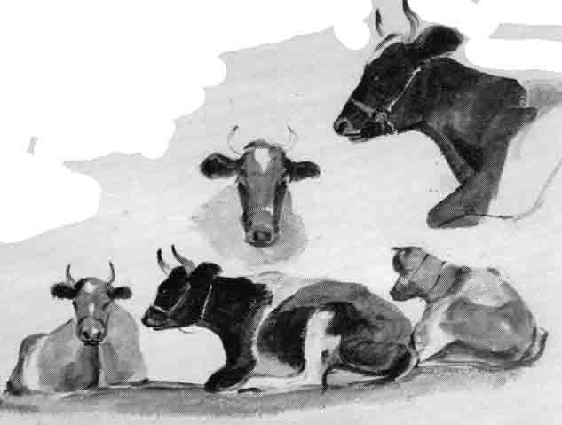 File:LeCapelainCattleStudies.jpg