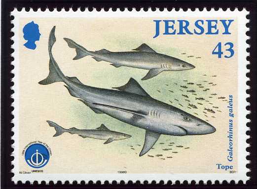 File:Stamp1998ae.jpg