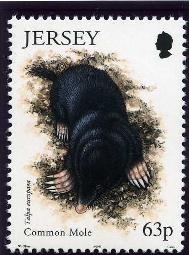 File:Stamp1999au.jpg