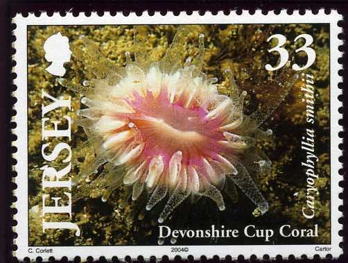 File:Stamp2004an.jpg