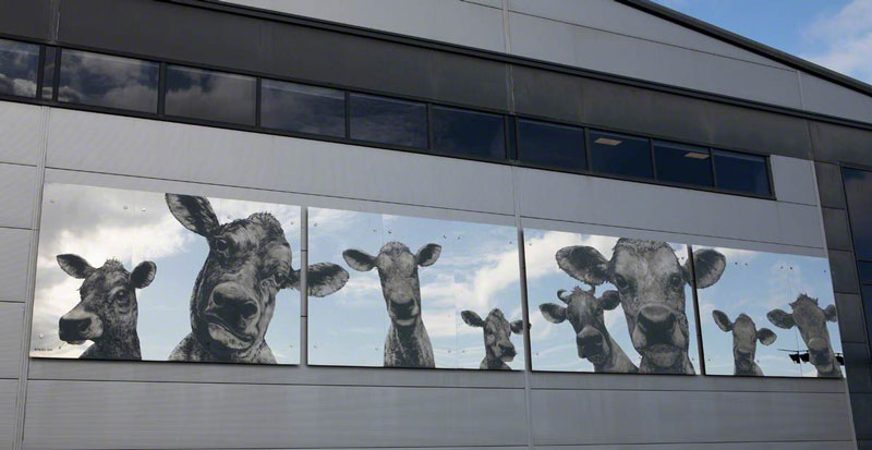 File:W22SculptureHerd4.jpg