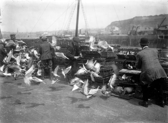 File:W22PigeonsReleaseHarbour1914.jpg