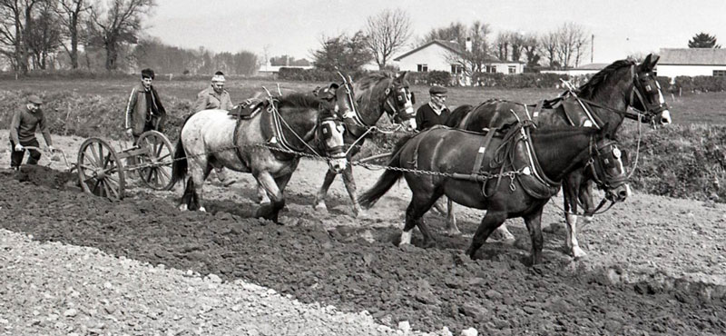 File:J25Ploughing1982.jpg