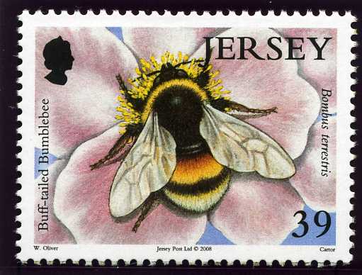 File:Stamp2008ap.jpg