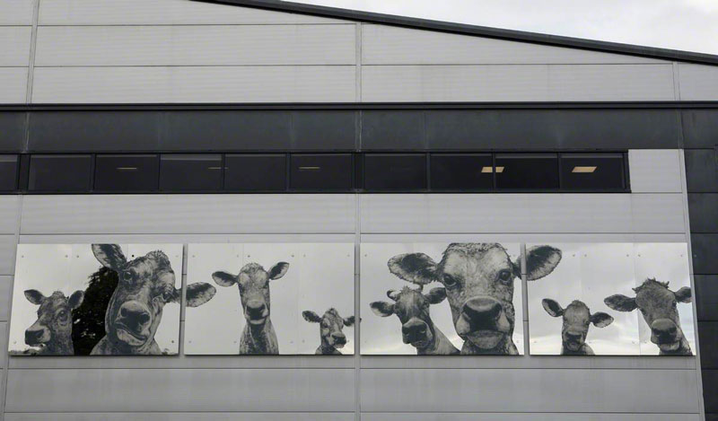 File:W22SculptureHerd2.jpg